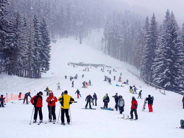 Shimla