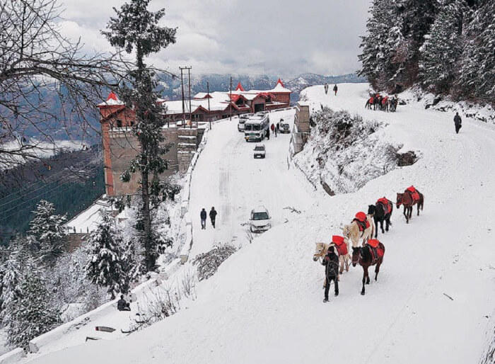 Shimla