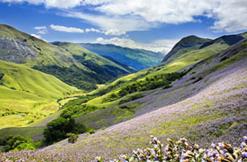 Araku Valley Tour Packages Book Araku Valley Holiday Package