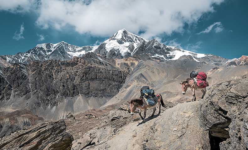 Kailash Mansarovar Yatra via Lhasa