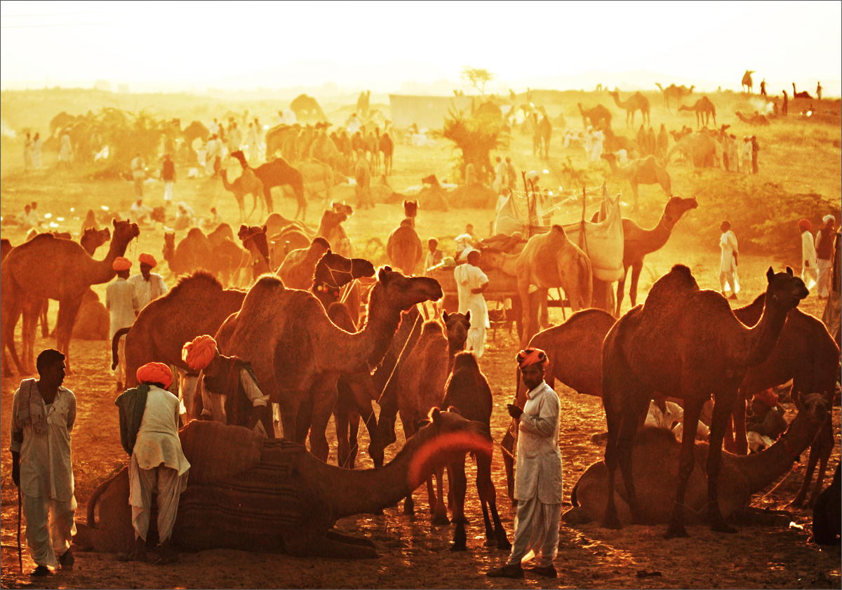 Incredible Rajasthan